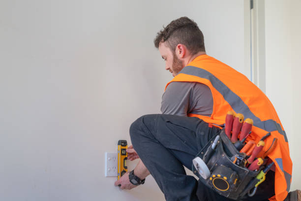 Best Electric Panel Repair  in Lemmon, SD